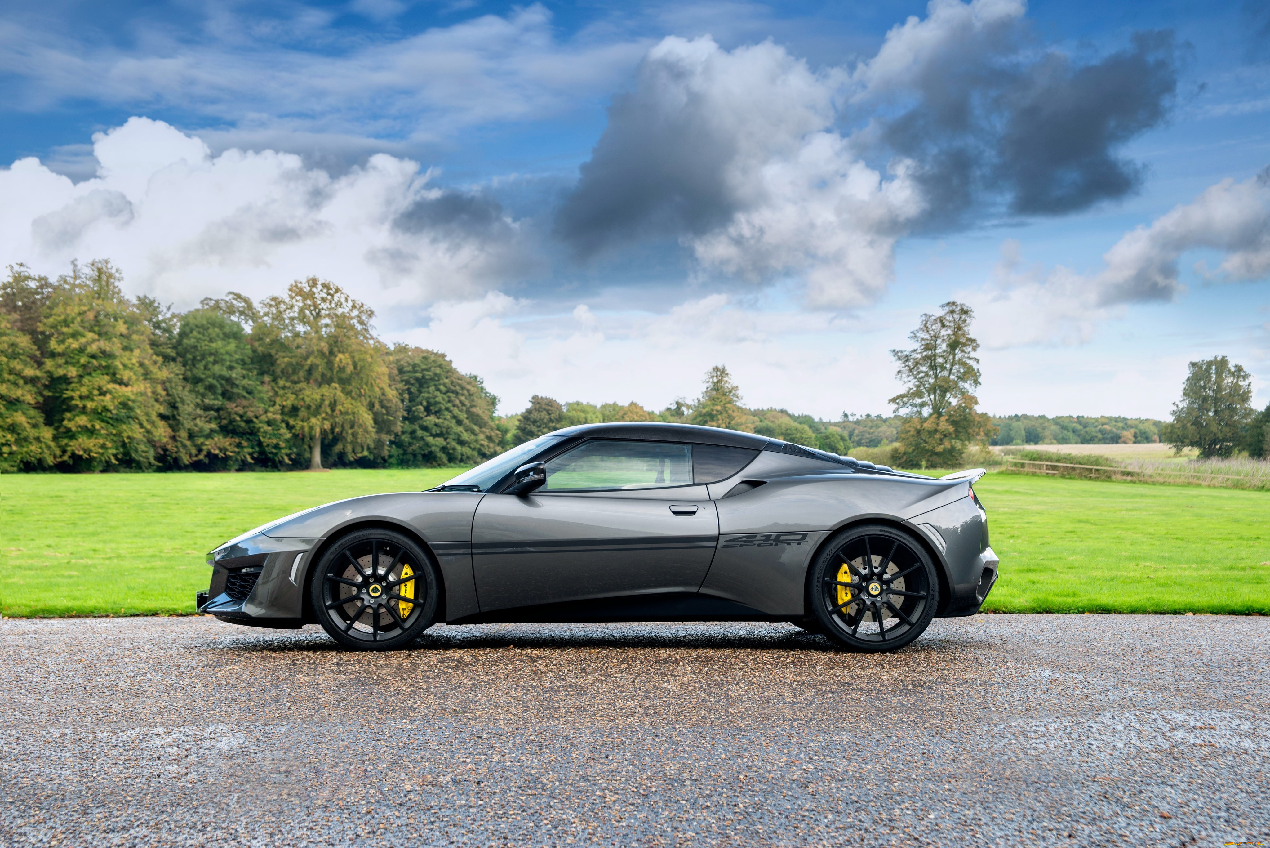 , lotus